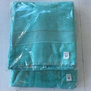 NEW Pottery Barn Teen Classic Organic Bath Towels, Set of 2, Pool